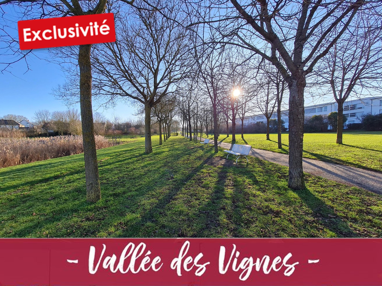 Image_, Maison, Amiens, ref :FM83990