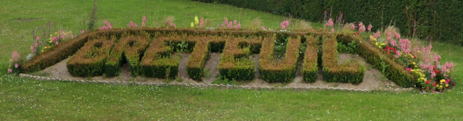 Image_, Terrain, Breteuil, ref :FM39534