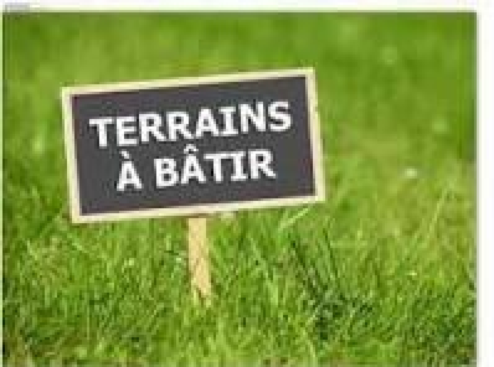 Image_, Terrain, Plachy-Buyon, ref :FM39160