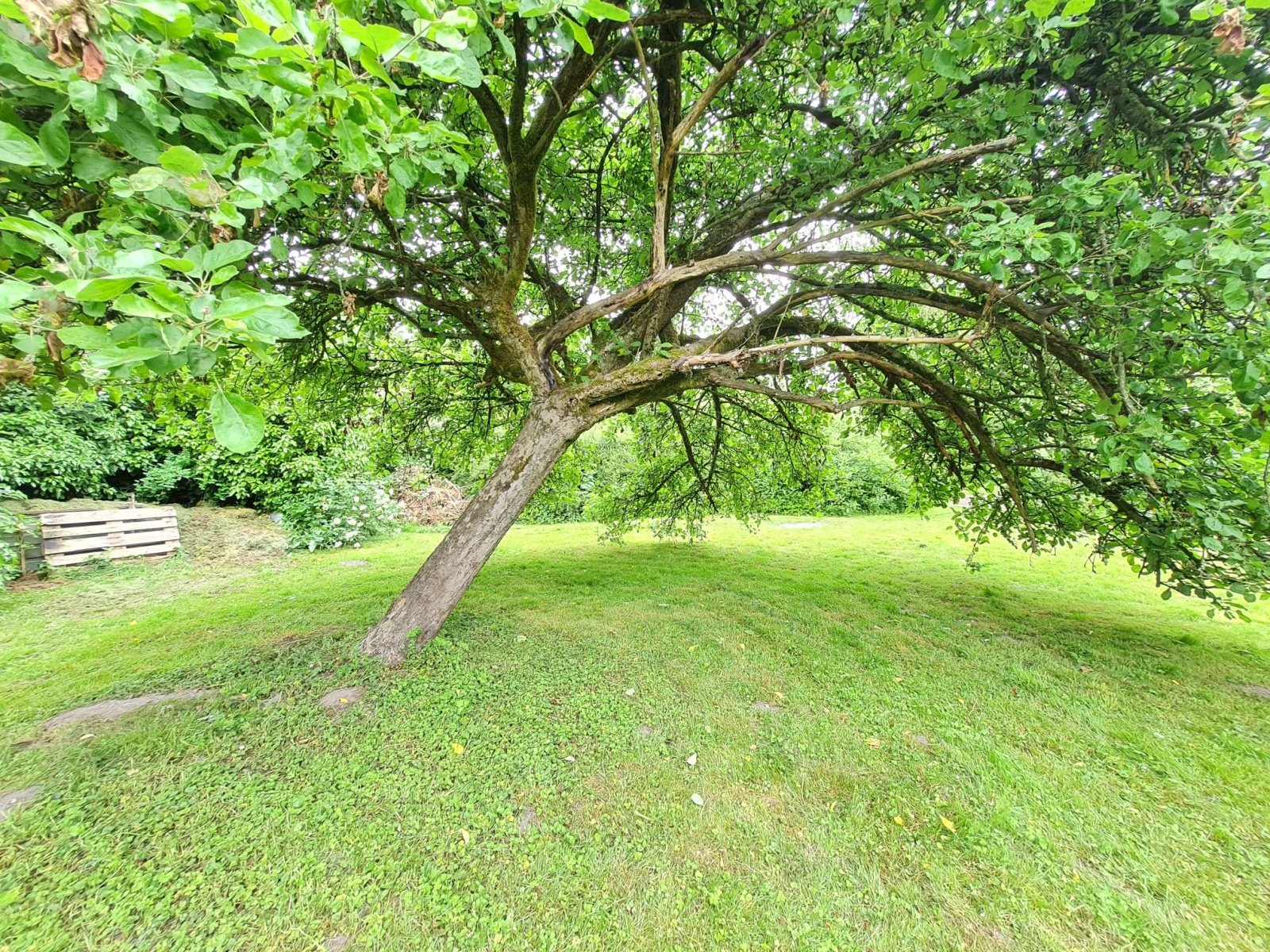 Image_, Maison, Corbie, ref :FS39133
